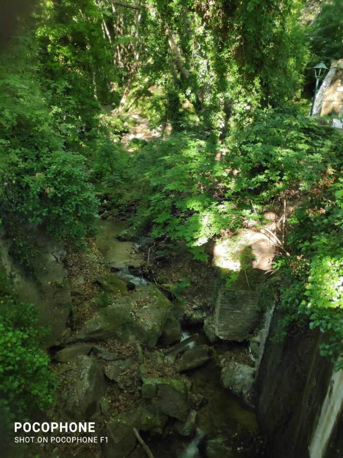 Villa Stefanos Katochori エクステリア 写真